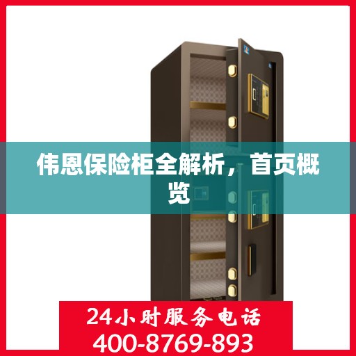 伟恩保险柜全解析，首页概览