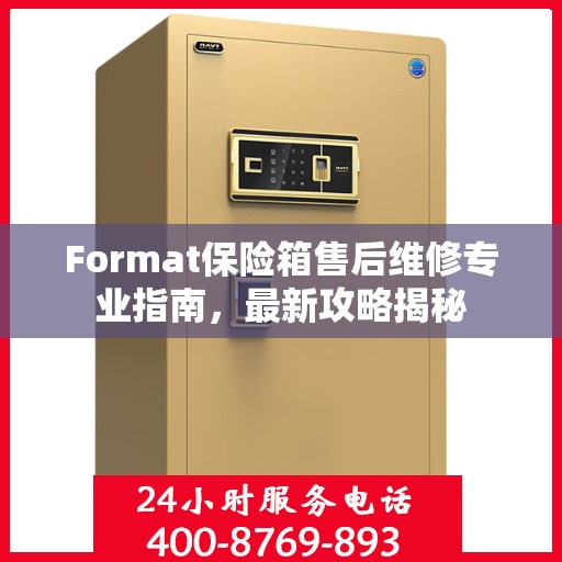 Format保险箱售后维修专业指南，最新攻略揭秘