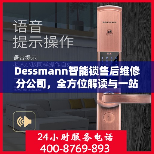 Dessmann智能锁售后维修分公司，全方位解读与一站式服务体验