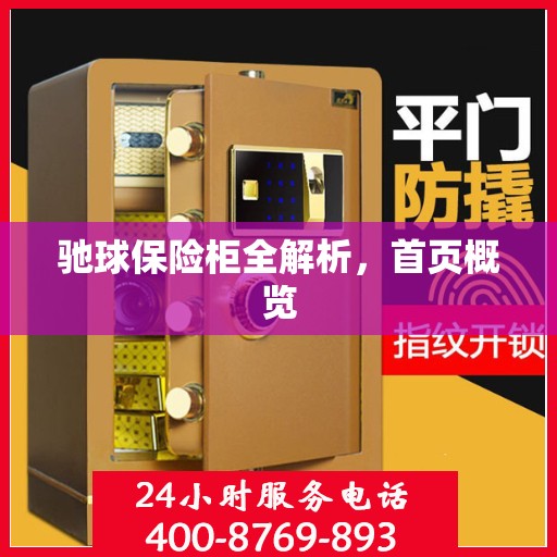 驰球保险柜全解析，首页概览