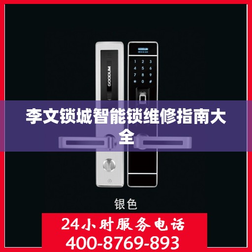李文锁城智能锁维修指南大全