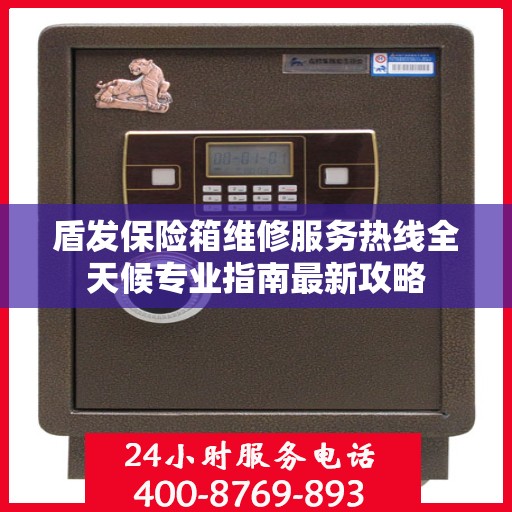 盾发保险箱维修服务热线全天候专业指南最新攻略