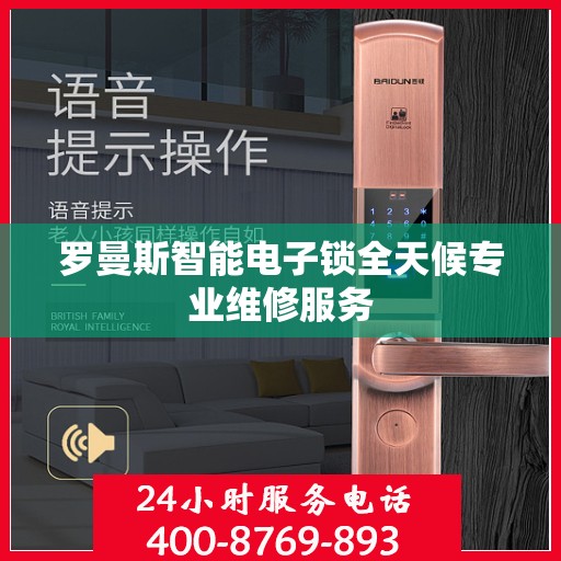 罗曼斯智能电子锁全天候专业维修服务