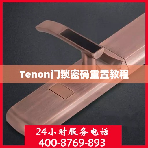 Tenon门锁密码重置教程
