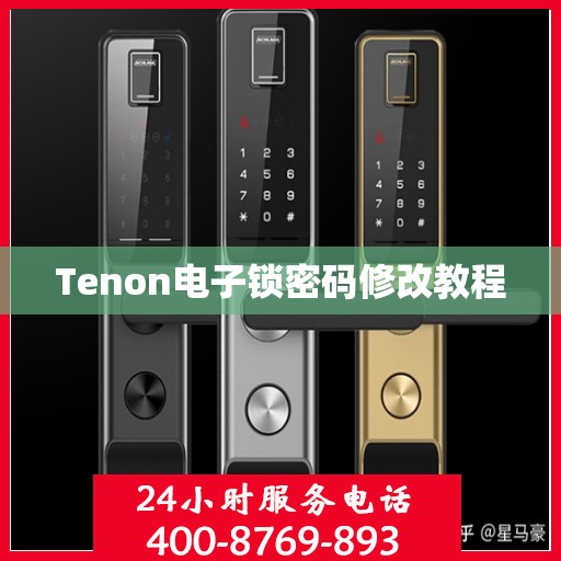 Tenon电子锁密码修改教程