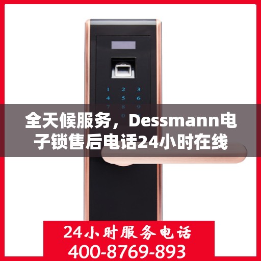 全天候服务，Dessmann电子锁售后电话24小时在线