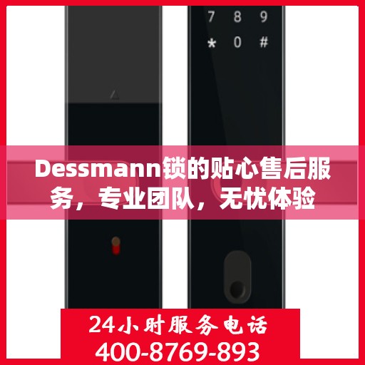 Dessmann锁的贴心售后服务，专业团队，无忧体验