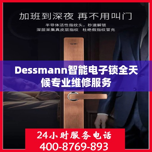 Dessmann智能电子锁全天候专业维修服务