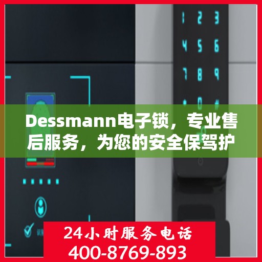 Dessmann电子锁，专业售后服务，为您的安全保驾护航