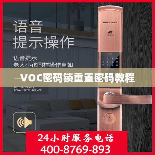 VOC密码锁重置密码教程