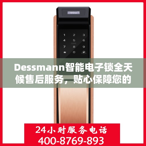 Dessmann智能电子锁全天候售后服务，贴心保障您的安全