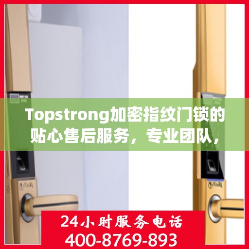 Topstrong加密指纹门锁的贴心售后服务，专业团队，无忧体验
