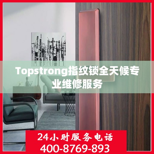 Topstrong指纹锁全天候专业维修服务