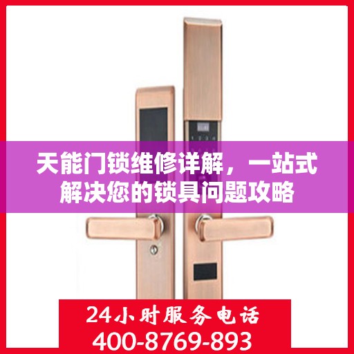 天能门锁维修详解，一站式解决您的锁具问题攻略