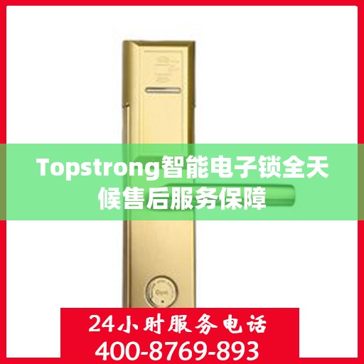 Topstrong智能电子锁全天候售后服务保障