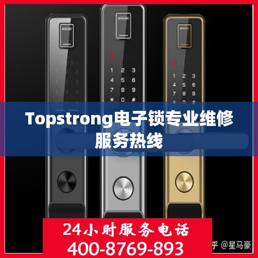 Topstrong电子锁专业维修服务热线