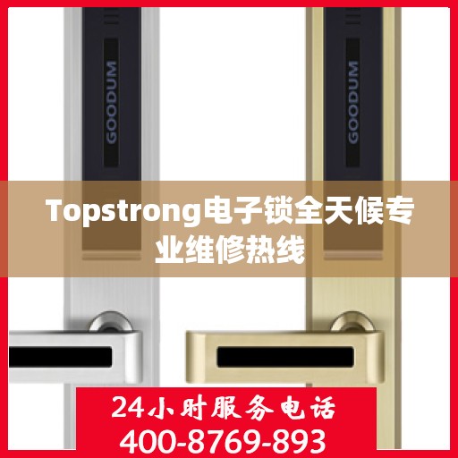 Topstrong电子锁全天候专业维修热线