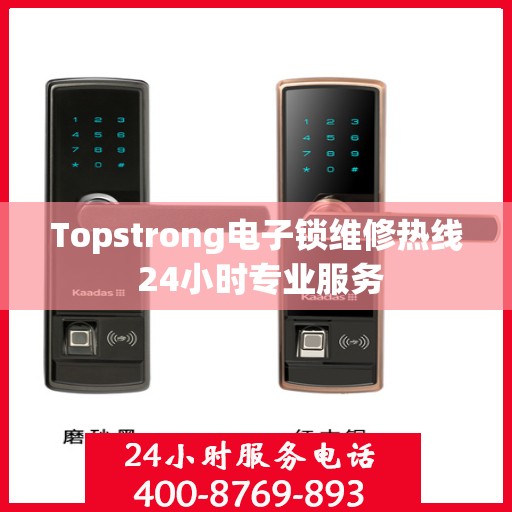 Topstrong电子锁维修热线 24小时专业服务