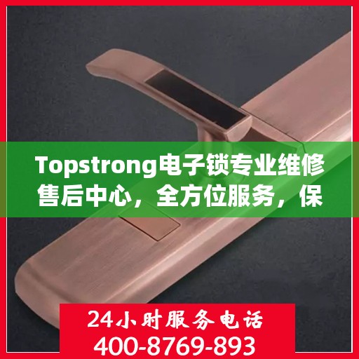 Topstrong电子锁专业维修售后中心，全方位服务，保障您的安全之选