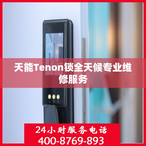 天能Tenon锁全天候专业维修服务